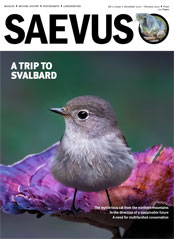 Saevus Magazine - December - February, 2023