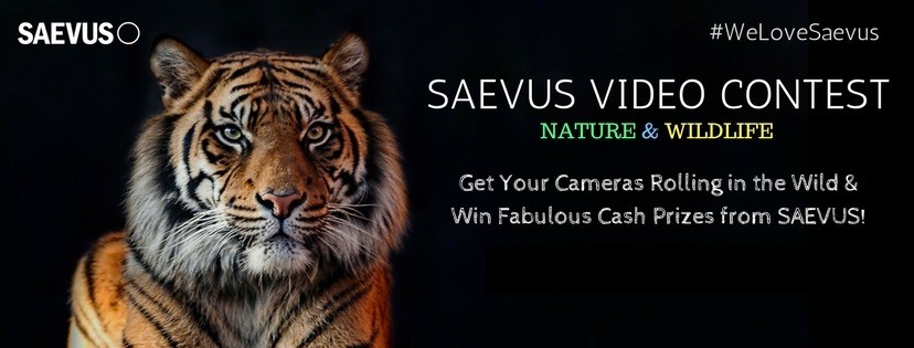 Saevus Video Contest 2917